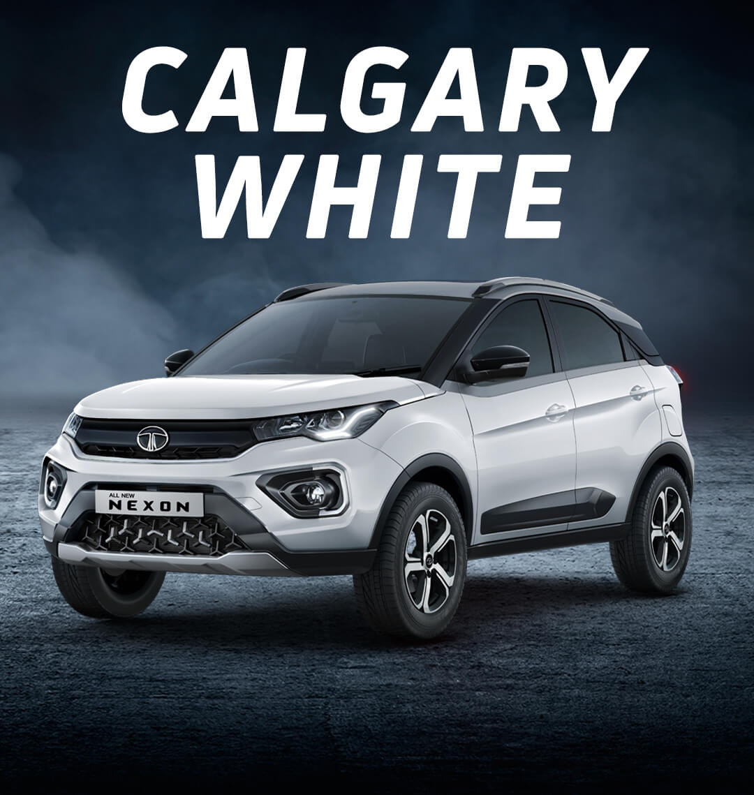 TATA NEXON Glacier White Color